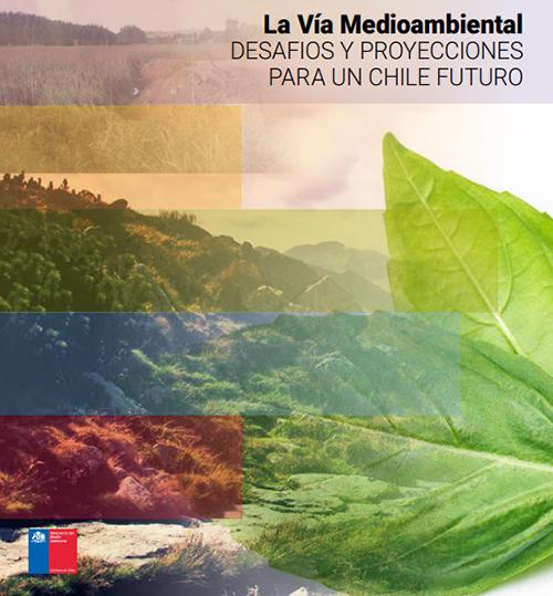 Profesor Raúl Villarroel publica artículo en libro que aborda el problema medio ambiental a futuro