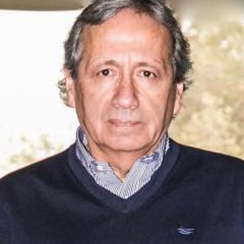 Prof. Raúl Villarroel.