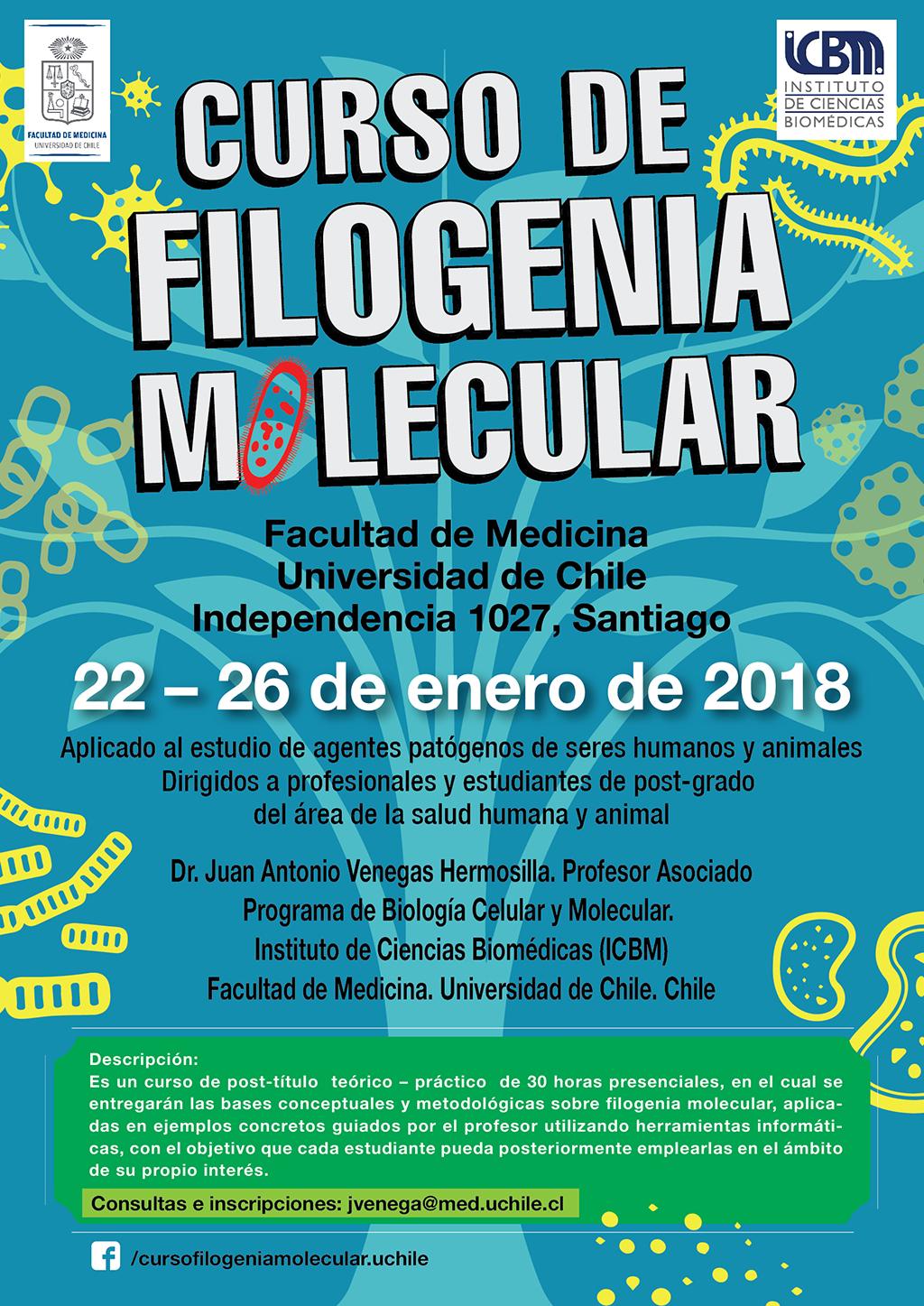 afiche curso de Filogenia Molecular