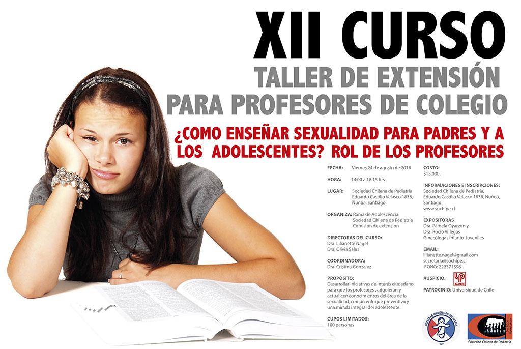 Afiche XII Curso - Taller de Extensión para profesores de colegio